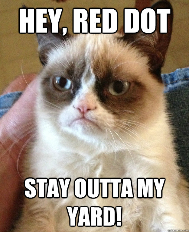 HEY, RED DOT Stay outta my yard!  Grumpy Cat is so sick of this shit