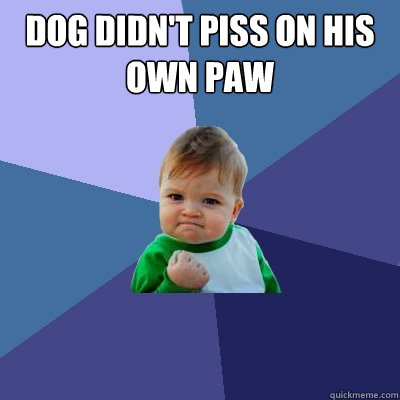 dog didn't piss on his own paw   Success Kid