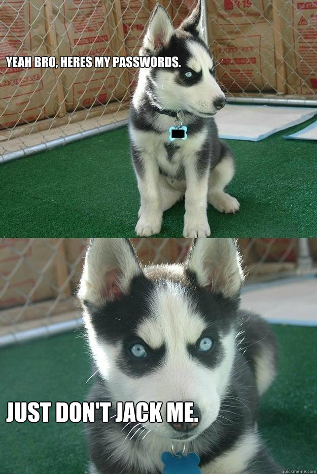 Yeah bro, Heres my passwords. Just don't jack me.  Insanity puppy