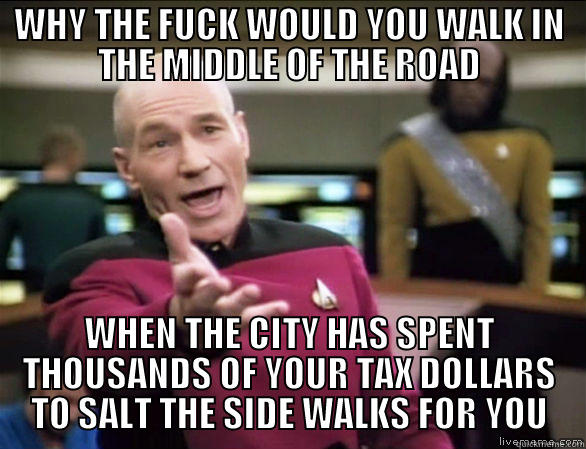 WHY THE FUCK WOULD YOU WALK IN THE MIDDLE OF THE ROAD WHEN THE CITY HAS SPENT THOUSANDS OF YOUR TAX DOLLARS TO SALT THE SIDE WALKS FOR YOU Annoyed Picard HD