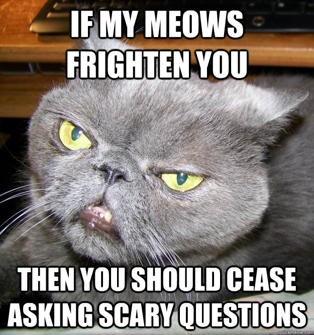 If my meows frighten you Then you should cease asking scary questions - If my meows frighten you Then you should cease asking scary questions  Samuel L. Jackson Cat