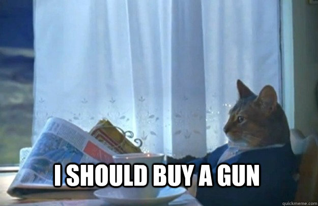I should buy a gun  Sophisticated Cat