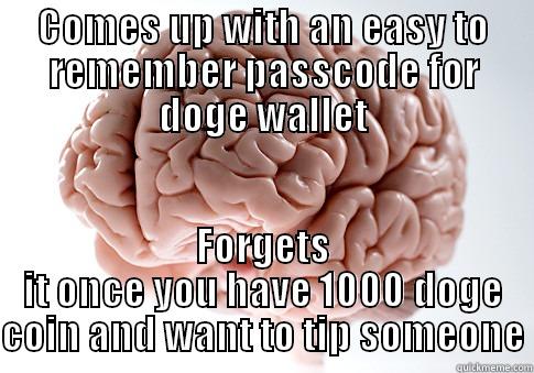 COMES UP WITH AN EASY TO REMEMBER PASSCODE FOR DOGE WALLET FORGETS IT ONCE YOU HAVE 1000 DOGE COIN AND WANT TO TIP SOMEONE Scumbag Brain