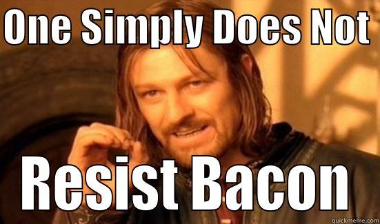 ONE SIMPLY DOES NOT  RESIST BACON Boromir