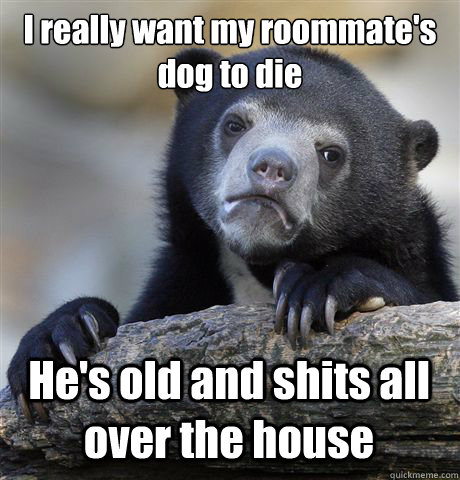 I really want my roommate's dog to die He's old and shits all over the house  Confession Bear