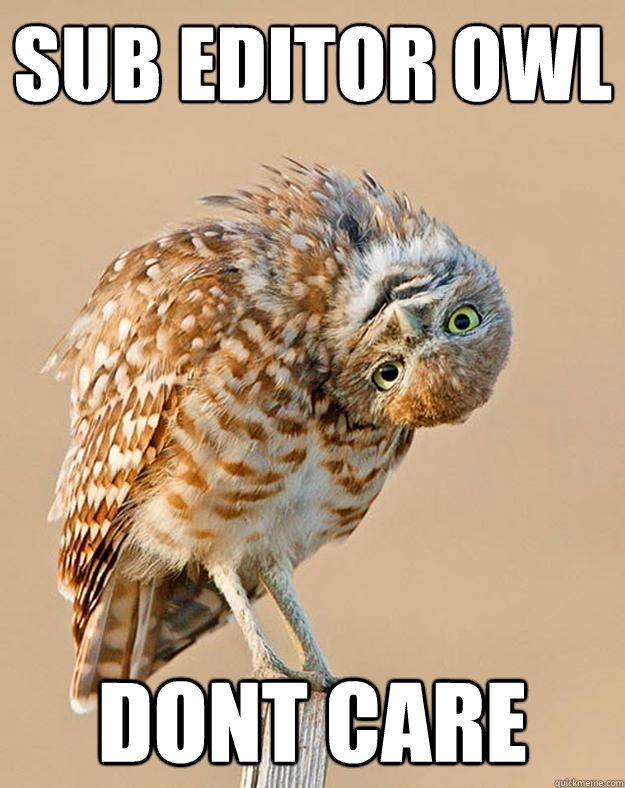 sub editor owl dont care  