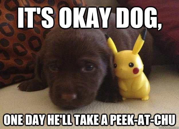 It's okay dog, one day he'll take a peek-at-chu - It's okay dog, one day he'll take a peek-at-chu  Misc