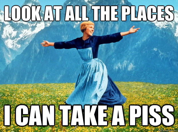 look at all the places i can take a piss  Sound of Music- Election