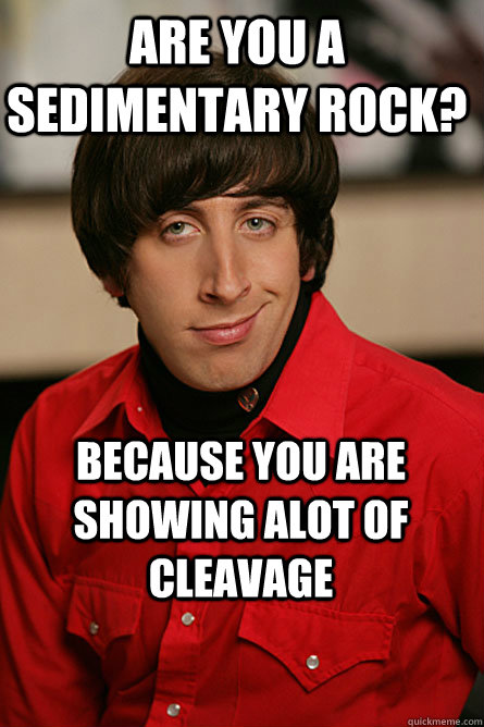 Are you a Sedimentary rock? Because you are showing alot of cleavage  Pickup Line Scientist
