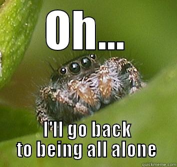 Oh, okay - OH... I'LL GO BACK TO BEING ALL ALONE Misunderstood Spider