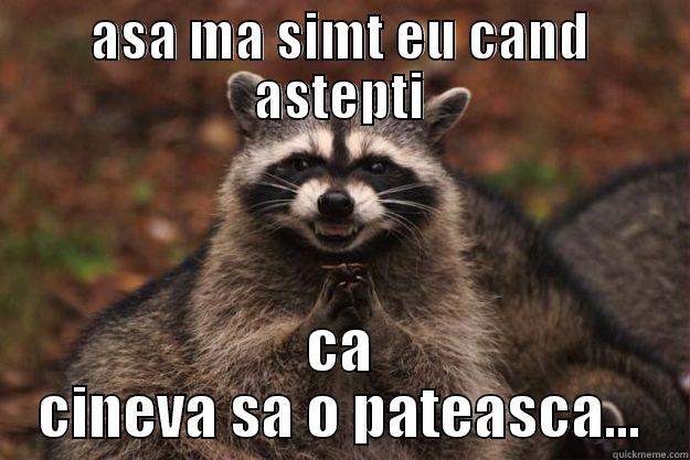 ASA MA SIMT EU CAND ASTEPTI CA CINEVA SA O PATEASCA... Evil Plotting Raccoon