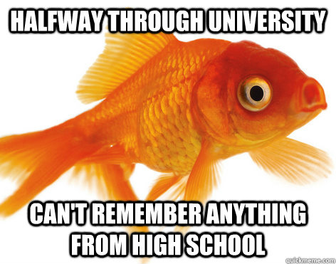 halfway through university can't remember anything from high school - halfway through university can't remember anything from high school  Forgetful Fish