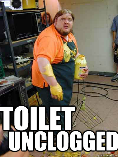 toilet unclogged  