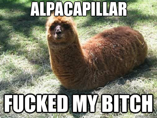 alpacapillar fucked my bitch  Alpacapillar