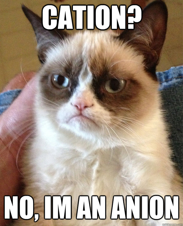 Cation? No, im an anion - Cation? No, im an anion  Misc