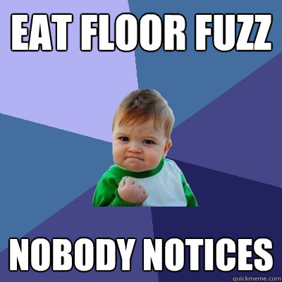 eat floor fuzz nobody notices  Success Kid