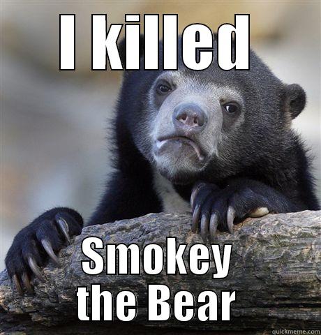 I KILLED SMOKEY THE BEAR Confession Bear