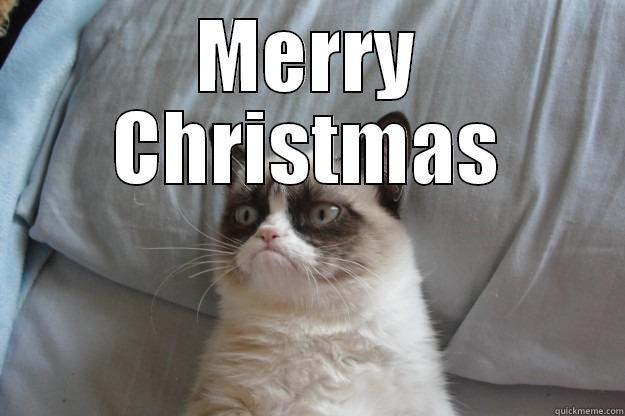 Grumpy Cat at Work - MERRY CHRISTMAS  Grumpy Cat