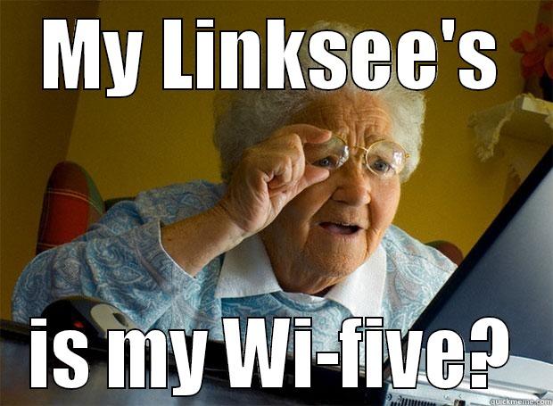 MY LINKSEE'S IS MY WI-FIVE? Grandma finds the Internet