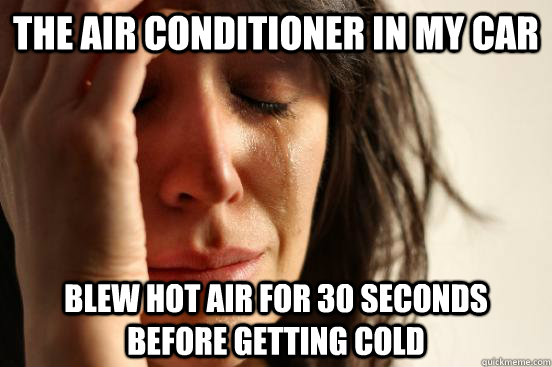 The air conditioner in my car blew hot air for 30 seconds before getting cold  First World Problems