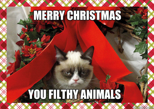 Merry Christmas you filthy animals  merry christmas