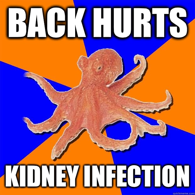 Back hurts Kidney infection  Online Diagnosis Octopus