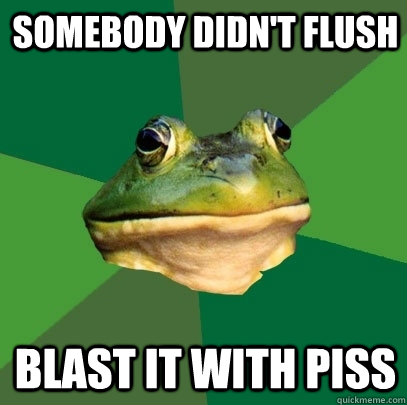 Somebody didn't flush Blast it with piss  Foul Bachelor Frog