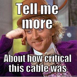 TELL ME MORE ABOUT HOW CRITICAL THIS CABLE WAS Condescending Wonka