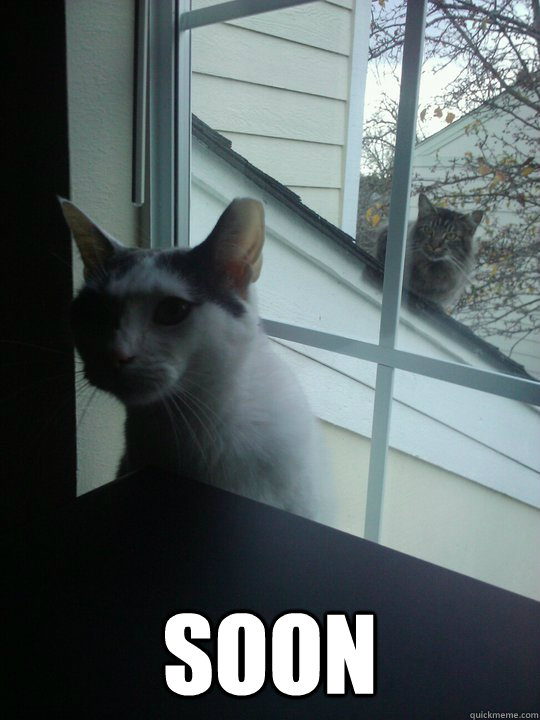  Soon -  Soon  Creeper Cat