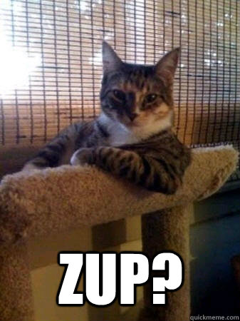  zup?  The Most Interesting Cat in the World