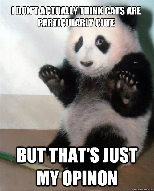 I don't actually think cats are particularly cute But that's just my opinon  Opinion Panda