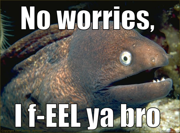 I f-EEL you - NO WORRIES, I F-EEL YA BRO Bad Joke Eel
