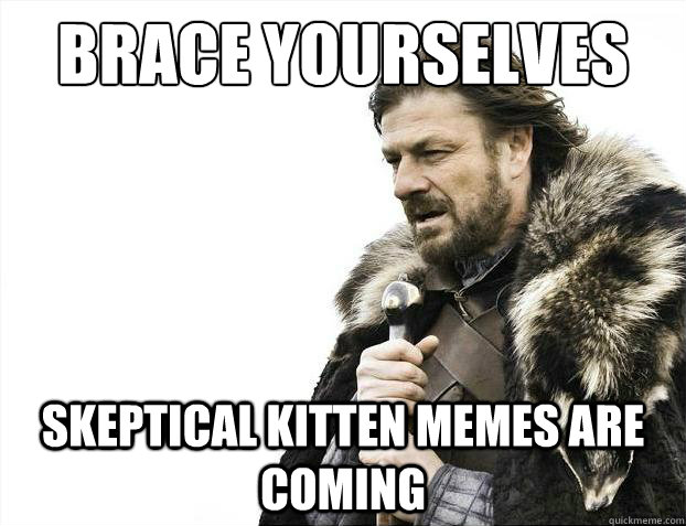 Brace yourselves Skeptical Kitten memes are coming  Brace Yourselves - Borimir