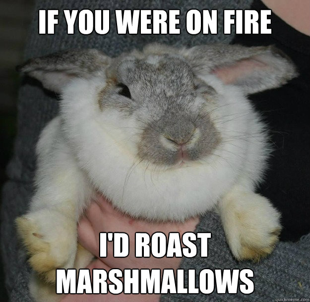 If you were on fire I'd roast marshmallows  Angry Bunny