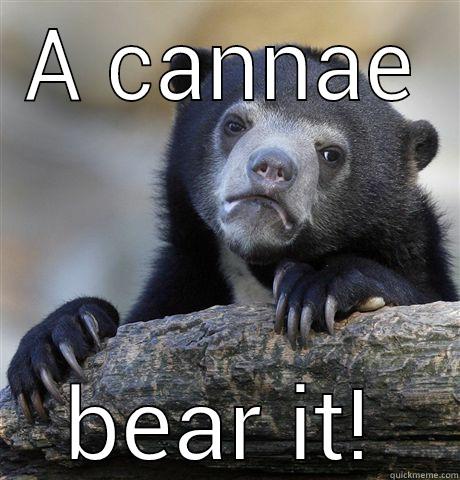 A CANNAE BEAR IT! Confession Bear