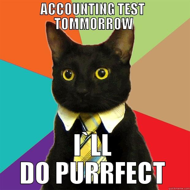 ACCOUNTING TEST  TOMMORROW I`LL DO PURRFECT Business Cat