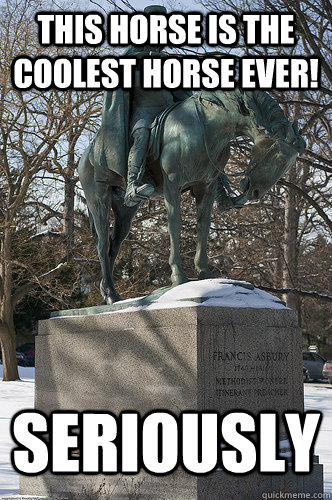 This horse is the coolest horse ever! Seriously  Drew University Meme