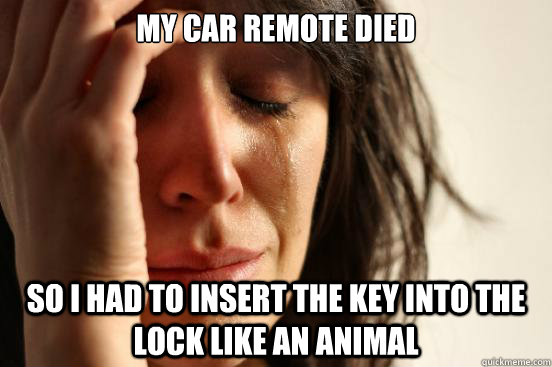 My car remote died so i had to insert the key into the lock like an animal  First World Problems