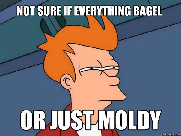 Not sure if everything bagel  or just moldy   Futurama Fry