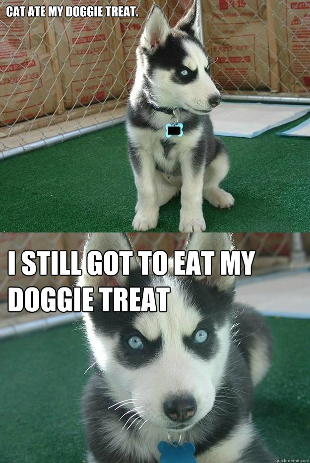 cat ate my doggie treat. I still got to eat my doggie treat  Insanity puppy
