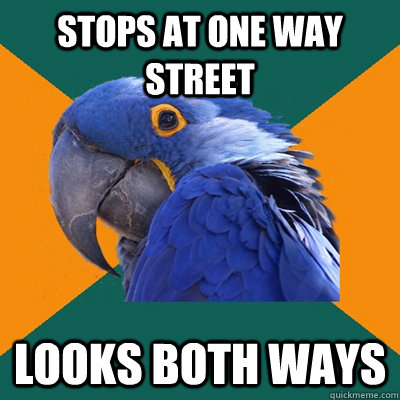 stops at one way street looks both ways  Paranoid Parrot