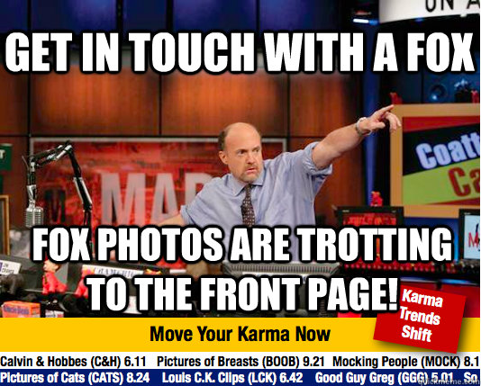 Get in touch with a fox fox photos are trotting to the front page!  Mad Karma with Jim Cramer