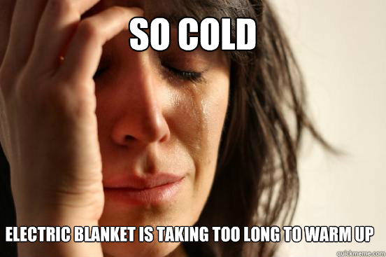 So Cold electric Blanket is taking too long to warm up  First World Problems
