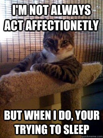I'm not always act affectionetly but when I do, Your trying to sleep  The Most Interesting Cat in the World