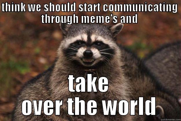 THINK WE SHOULD START COMMUNICATING THROUGH MEME'S AND TAKE OVER THE WORLD Evil Plotting Raccoon