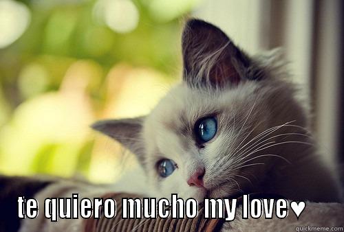  TE QUIERO MUCHO MY LOVE♥    First World Problems Cat