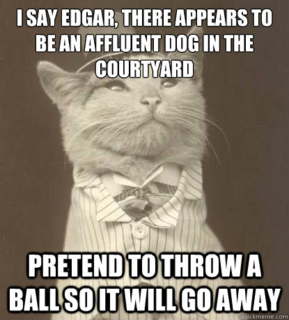 I say edgar, there appears to be an affluent dog in the courtyard Pretend to throw a ball so it will go away - I say edgar, there appears to be an affluent dog in the courtyard Pretend to throw a ball so it will go away  Aristocat