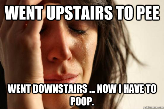 Went upstairs to pee Went downstairs ... Now i have to poop.  First World Problems