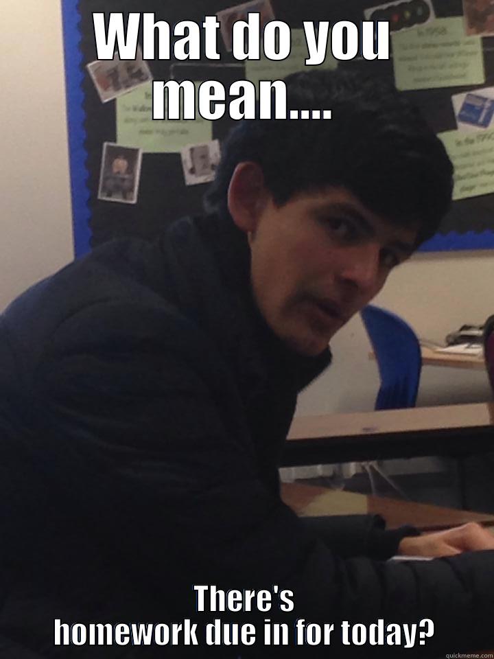 WHAT DO YOU MEAN.... THERE'S HOMEWORK DUE IN FOR TODAY? Misc