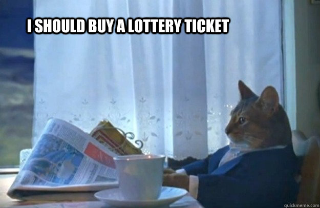 I should buy a lottery ticket  Sophisticated Cat